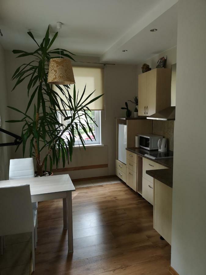 Jaukus Butas Siauliu Miesto Centre Apartamento Šiauliai Exterior foto